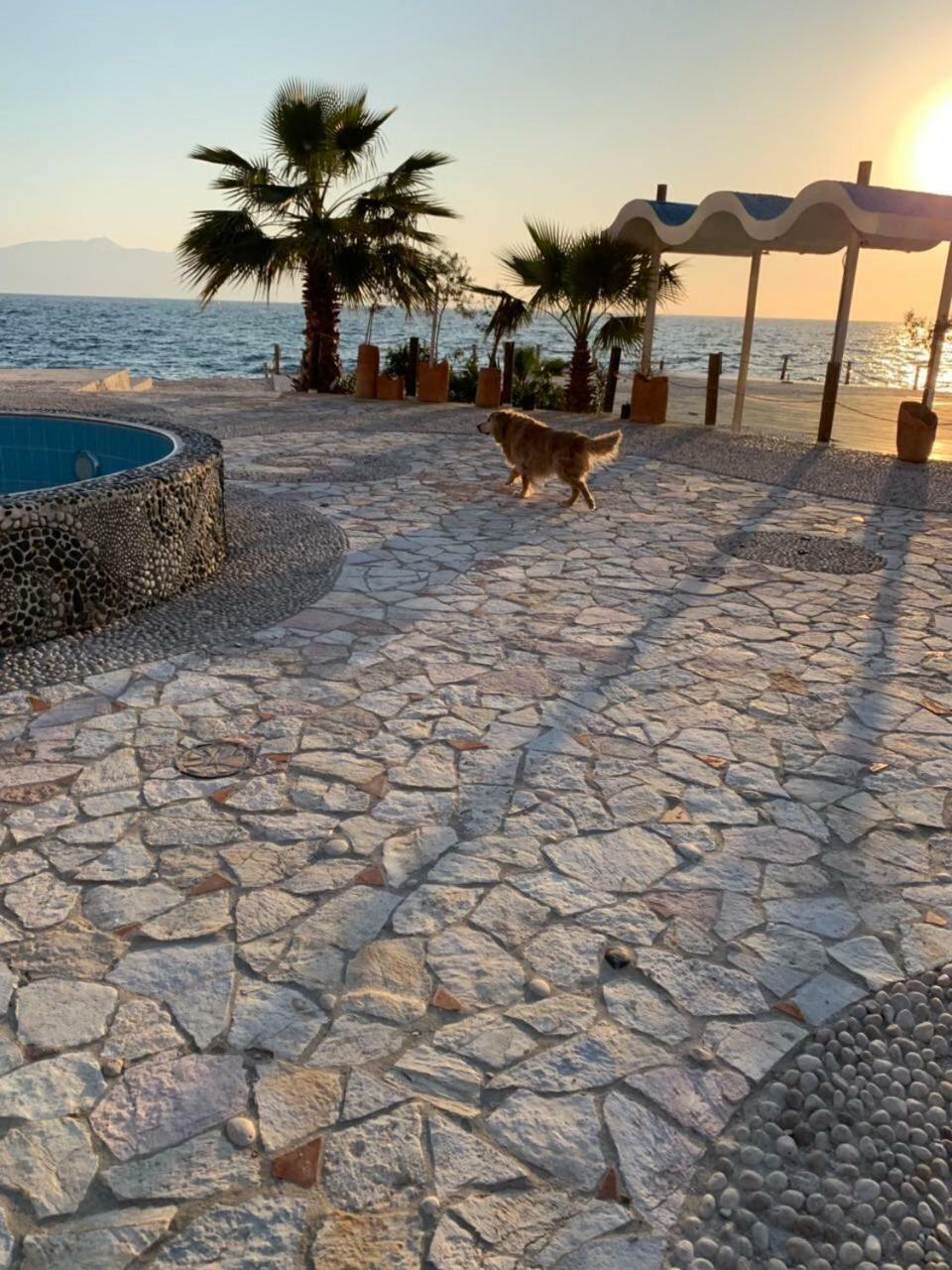 Bougainville Bay Resort - Villa 11 Σαράντα Εξωτερικό φωτογραφία